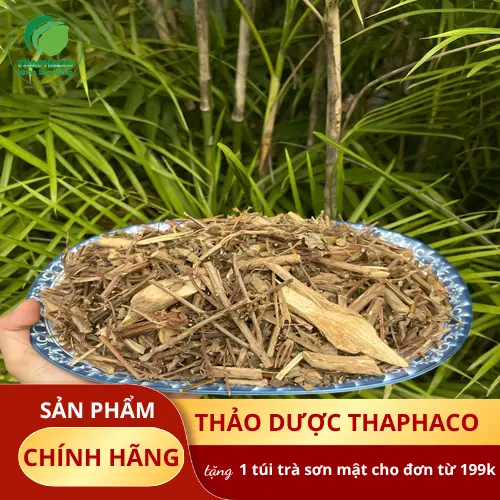 Bó Hương Nhu tươi chất lượng cao tại Thảo Dược Tươi THAPHACO