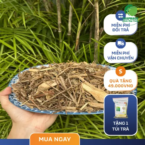 Lợi ích của hương nhu khô THAPHACO cho tóc và sức khỏe