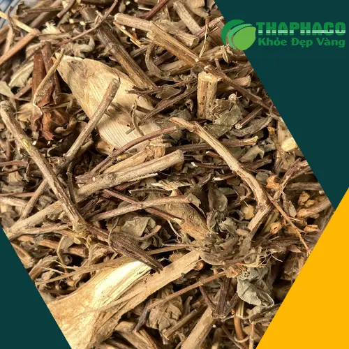 Chuyên gia THAPHACO chia sẻ cách dùng hương nhu hiệu quả