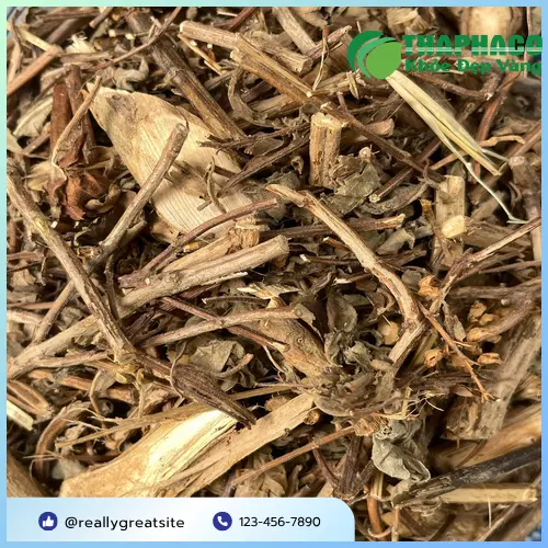 Hình ảnh sản phẩm hương nhu đóng gói cẩn thận tại THAPHACO, sẵn sàng giao đến khách hàng