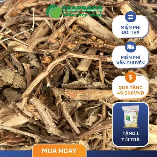 Sản phẩm hương nhu chất lượng từ Thảo Dược Tươi THAPHACO