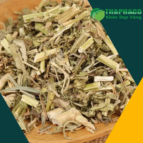 Hình ảnh ích mẫu sấy khô chất lượng cao từ Thảo Dược Tươi THAPHACO, nguyên liệu sạch và xanh