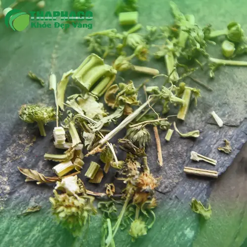Pha trà ích mẫu đúng cách, giữ trọn dược tính