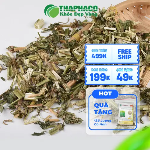 Các phương pháp sử dụng ích mẫu sấy khô phổ biến, từ pha trà đến sắc uống