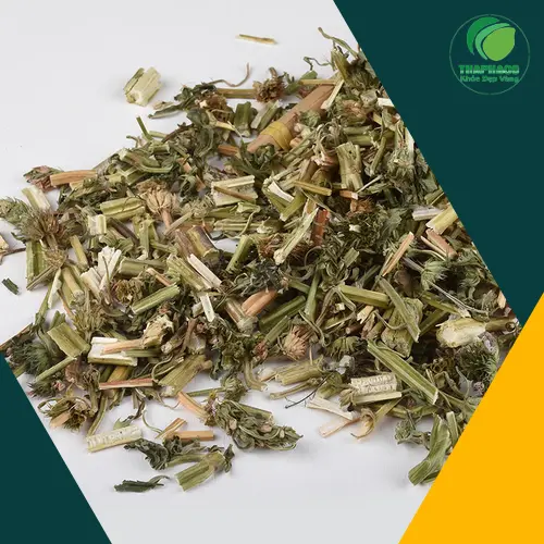 Quy trình kiểm định chất lượng trà ích mẫu sấy khô tại Thảo Dược Tươi