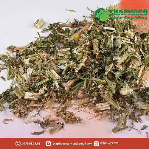 Trà ích mẫu pha đúng cách mang lại nhiều lợi ích