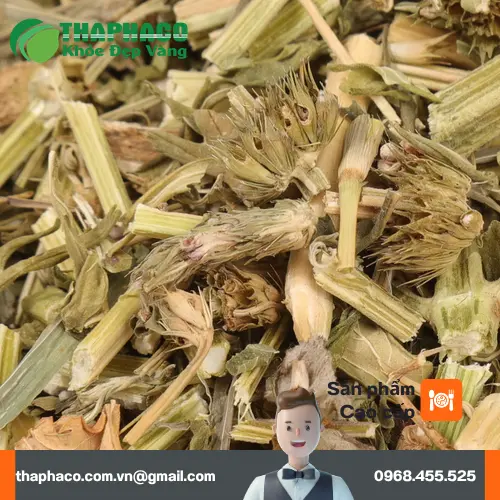 Quy trình kiểm định chất lượng nghiêm ngặt của ích mẫu sấy khô tại Thảo Dược Tươi THAPHACO