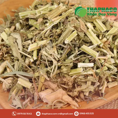 Giá sỉ trà ích mẫu sấy khô tốt nhất tại Thảo Dược Tươi THAPHACO