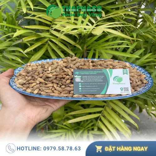 Ké đầu ngựa sấy khô THAPHACO, sản phẩm thảo dược tươi tự nhiên