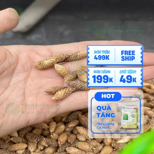 Ké đầu ngựa khô đã được sơ chế sạch