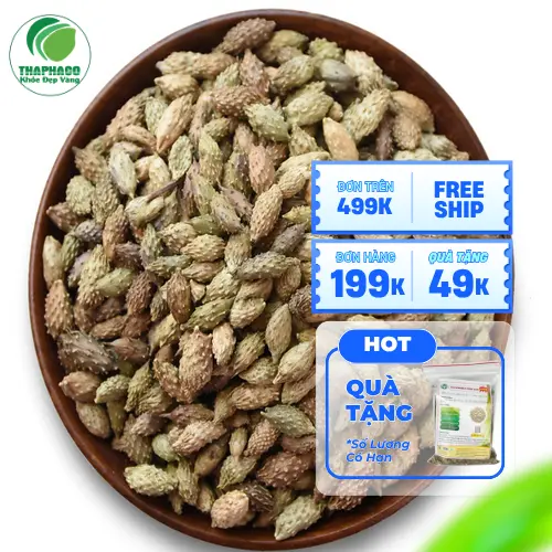 Ké đầu ngựa sau khi thu hoạch và sơ chế