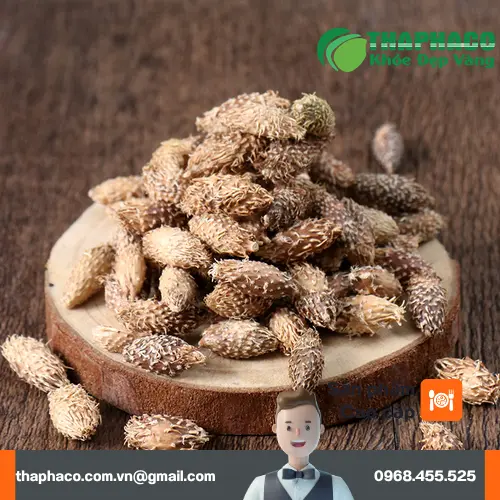 Cách sử dụng ké đầu ngựa sấy khô đúng cách