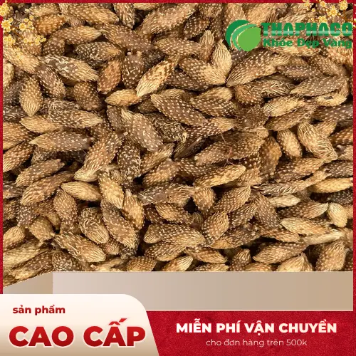 Sản phẩm ké đầu ngựa khô đóng gói chất lượng