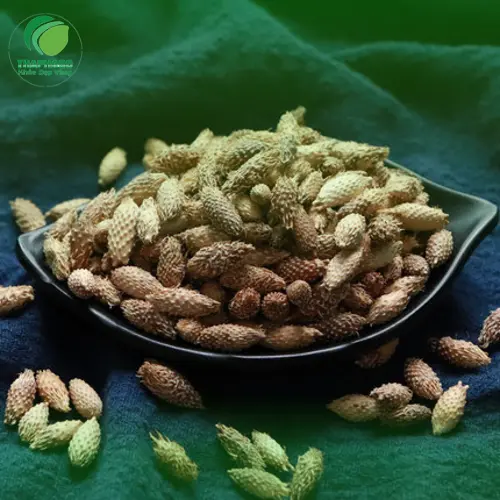 Lý do chọn mua ké đầu ngựa sấy khô tại THAPHACO
