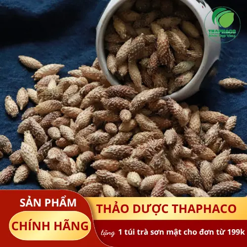 Ké đầu ngựa sấy khô đóng gói tại THAPHACO
