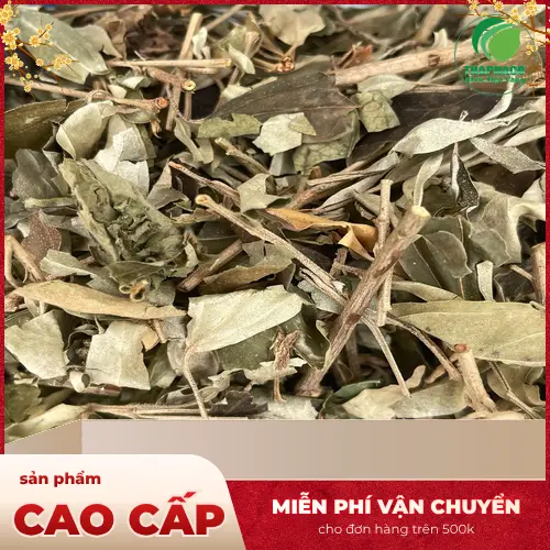 Khổ sâm nguyên chất tại Thảo Dược Tươi THAPHACO
