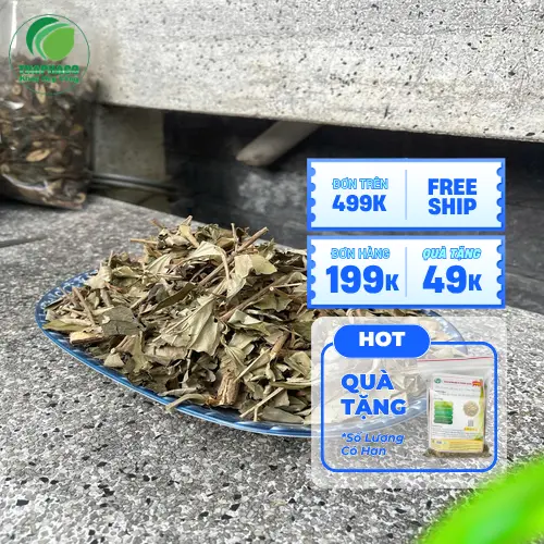 Cây khổ sâm tươi THAPHACO