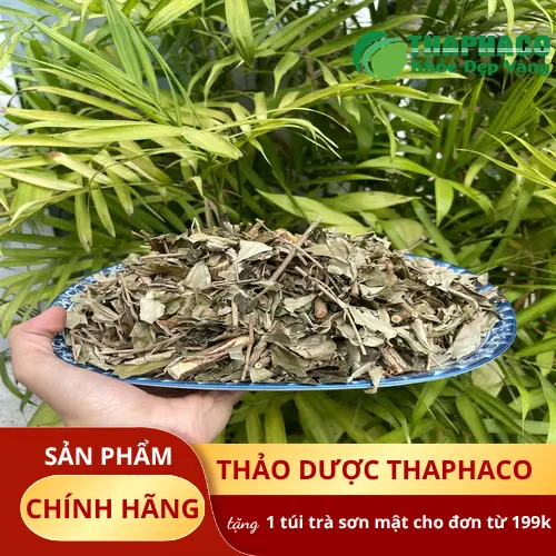 Quy trình phơi sấy Khổ sâm đảm bảo chất lượng