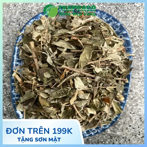 Khổ Sâm khô đã được sơ chế tại Thảo Dược Tươi THAPHACO