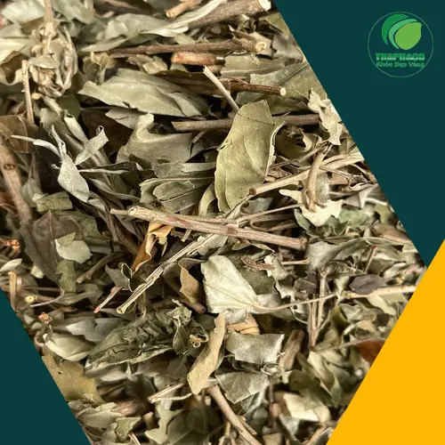 Nước sắc khổ sâm hàng ngày
