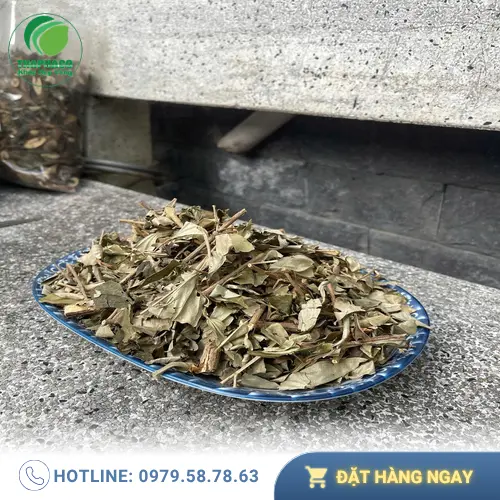Khổ sâm sau khi chế biến sẵn sàng đóng gói