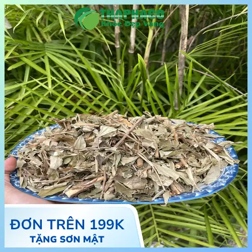 Khổ Sâm phơi khô hoặc đã thái lát