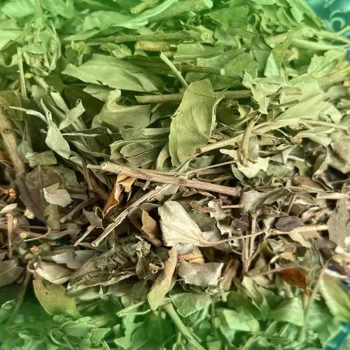 Khổ sâm nguyên chất đóng gói cẩn thận tại THAPHACO