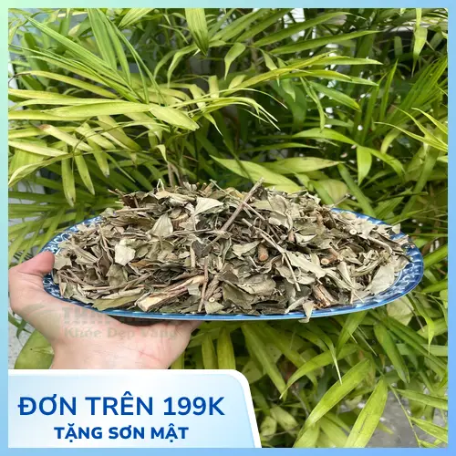 Khổ sâm khô chất lượng cao THAPHACO
