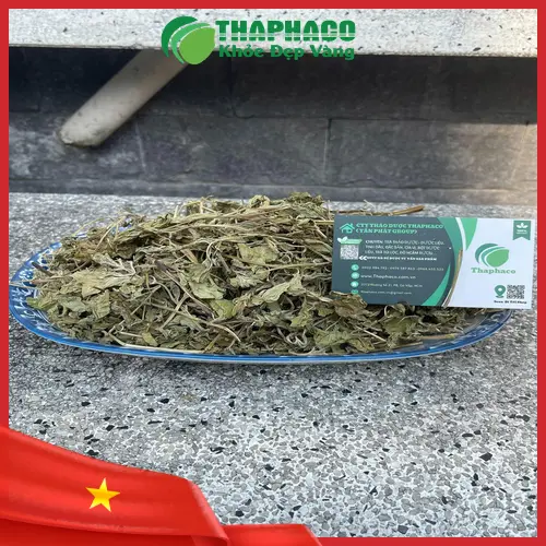 Lá bạc hà tươi xanh giúp hỗ trợ tiêu hóa