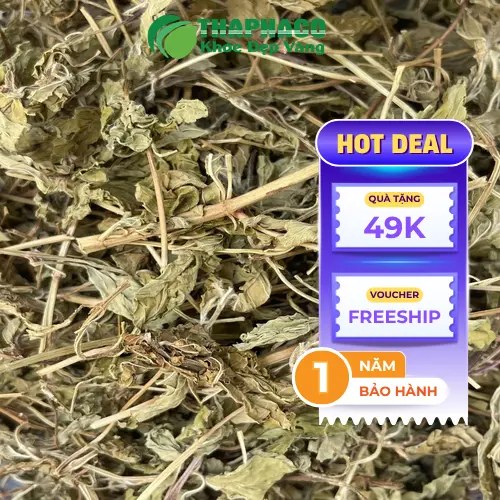 Lá bạc hà sấy khô Thảo Dược Tươi THAPHACO