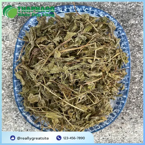 Lá bạc hà tươi xanh, nguyên liệu quý giá từ thiên nhiên
