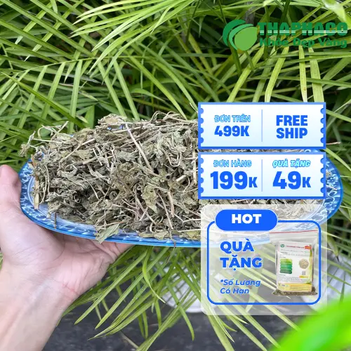 Hình ảnh lá bạc hà khô chất lượng cao của Thảo Dược Tươi THAPHACO, sẵn sàng cho việc pha trà hoặc sử dụng khác