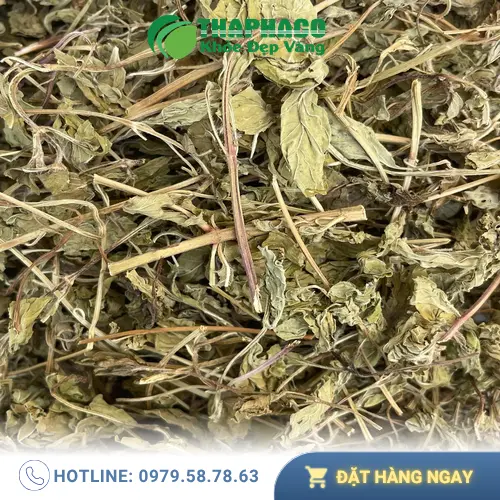Lá bạc hà khô THAPHACO chất lượng cao