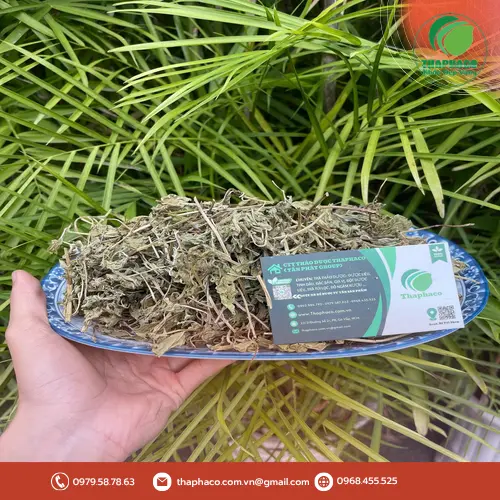Pha trà bạc hà tươi hỗ trợ tiêu hóa