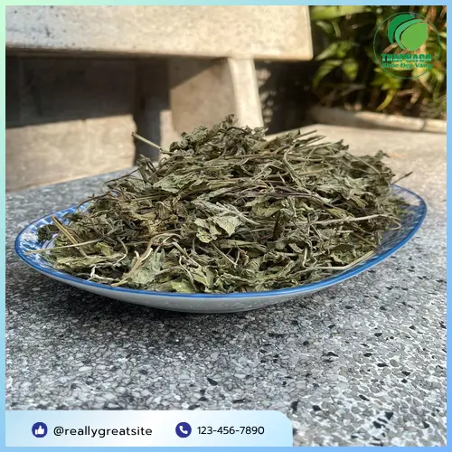 Pha trà lá bạc hà khô để chữa hôi miệng