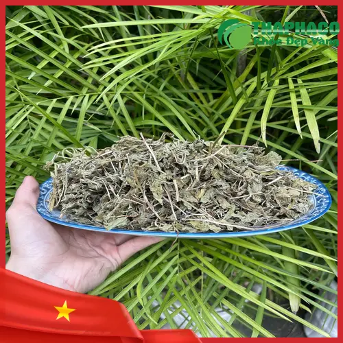 Xông hơi lá bạc hà giúp thông thoáng đường hô hấp