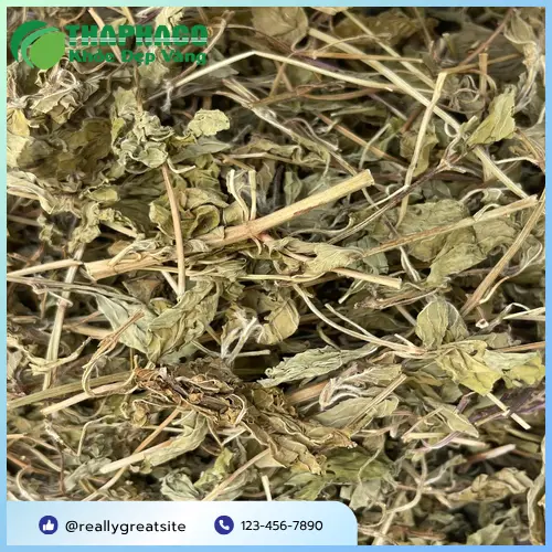 Công dụng của lá bạc hà khô