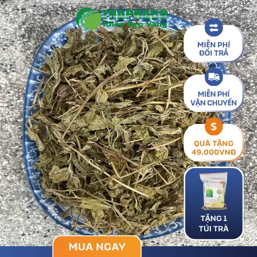 Lá bạc hà khô THAPHACO với màu sắc xanh tự nhiên và hương thơm the mát