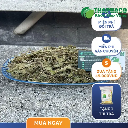 Hình ảnh cận cảnh lá bạc hà khô THAPHACO