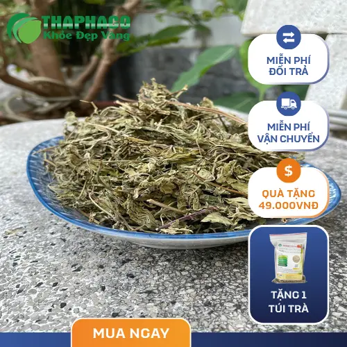 Cách bảo quản lá bạc hà tươi trong tủ lạnh