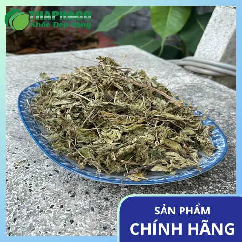 Túi trà sơn mật chất lượng cao được tặng kèm khi mua lá bạc hà khô tại THAPHACO