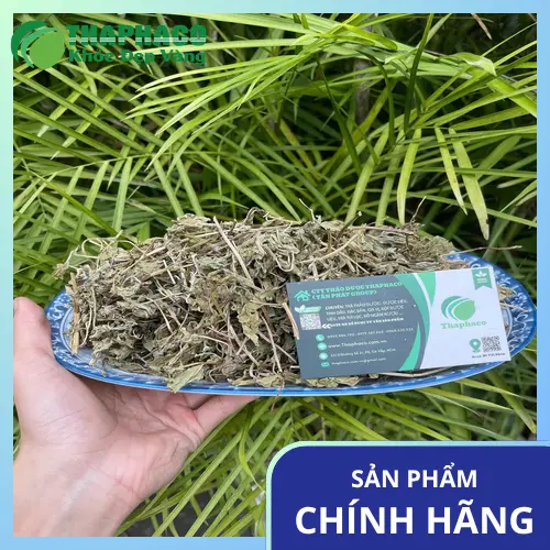 Quy trình sấy khô lá bạc hà chuẩn sạch