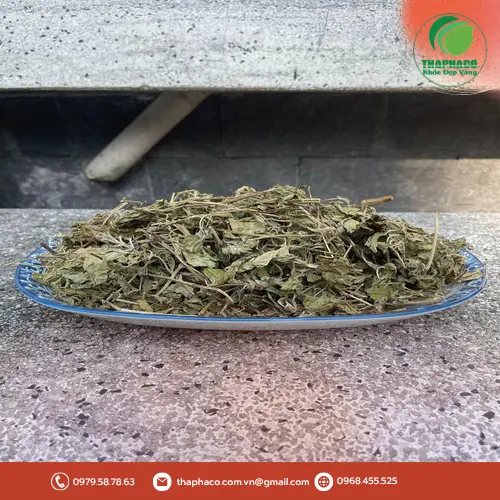 Tắm lá bạc hà giúp hạ sốt và thư giãn cơ thể