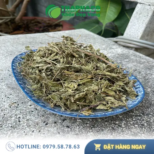 Quy trình sản xuất và đóng gói lá bạc hà khô đạt chuẩn của Thảo Dược Tươi THAPHACO, đảm bảo chất lượng