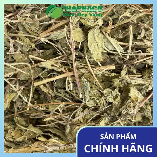 Cách dùng lá bạc hà khô