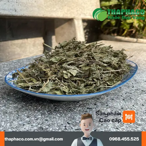 Lá bạc hà sấy khô hoặc đông lạnh để bảo quản lâu dài