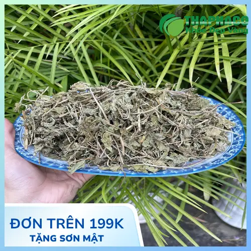 Đóng gói lá bạc hà THAPHACO chất lượng cao