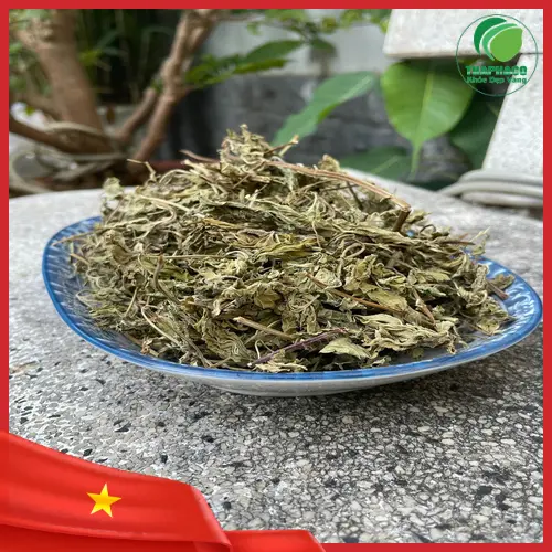 Địa chỉ mua lá bạc hà khô THAPHACO