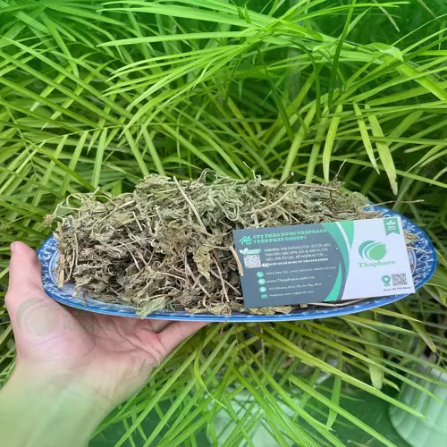 Gói lá bạc hà khô THAPHACO chất lượng cao, sẵn sàng phục vụ khách hàng