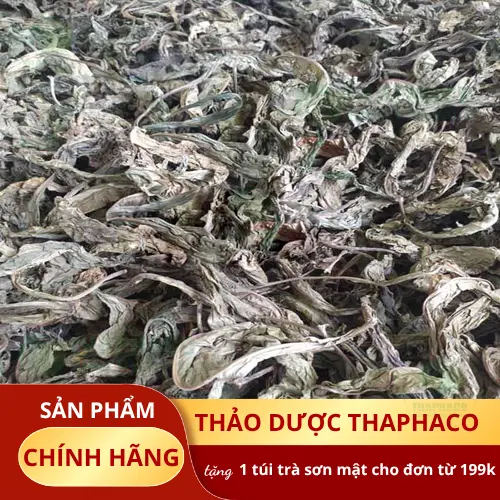 Lá khôi tía tươi chất lượng cao từ Thảo Dược Tươi THAPHACO